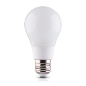 LED ZARULJA E27 A60 GLS 9W SMD2835 600LM