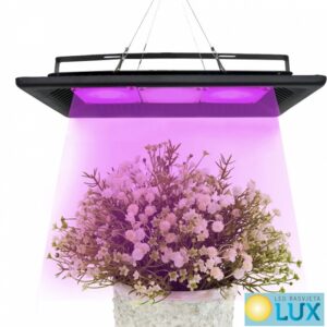 Led svjetla za uzgoj bilja