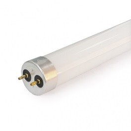 T8 LED CIJEVI