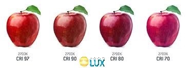 cri cri