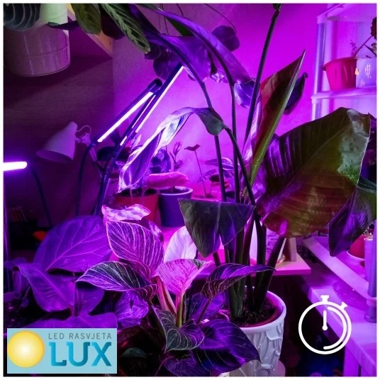 led rasvjeta lux I6wZBGyp