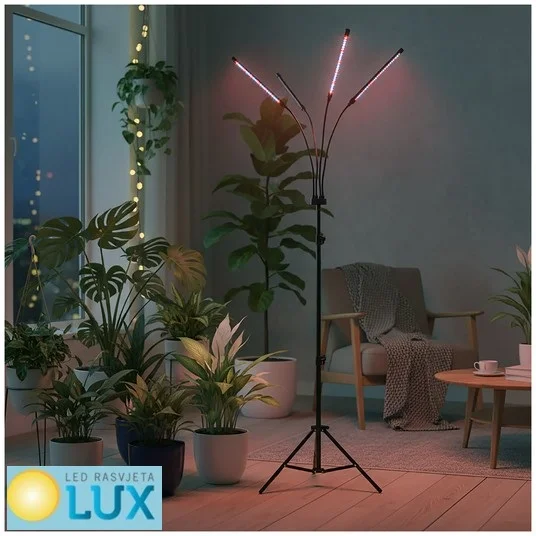 led rasvjeta lux LKPegKnP