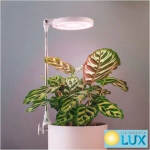 LED SVJETILJKA ZA UZGOJ BILJA 5W 1300K CRNA
