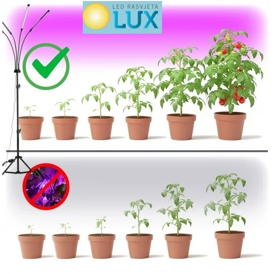 led rasvjeta lux icfzutqx